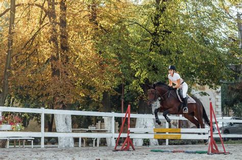 ivana turf|IVANATURF.